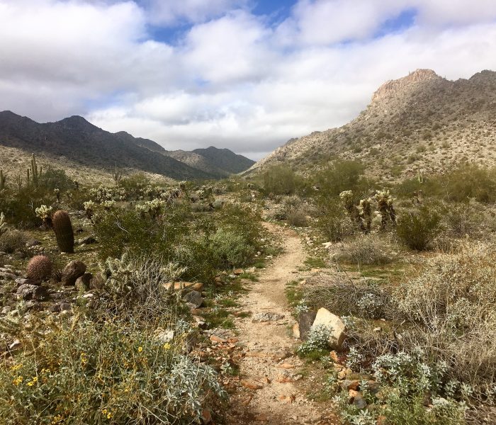 The Ultimate Guide to Solo Hiking