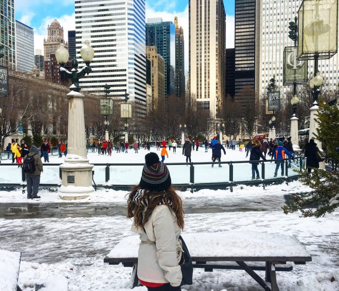 8 Best Things To Do in Chicago, Illinois (for Two Days)