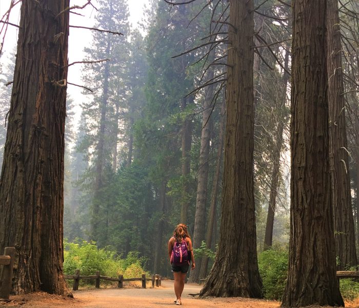 7 Reasons To Visit A National Park