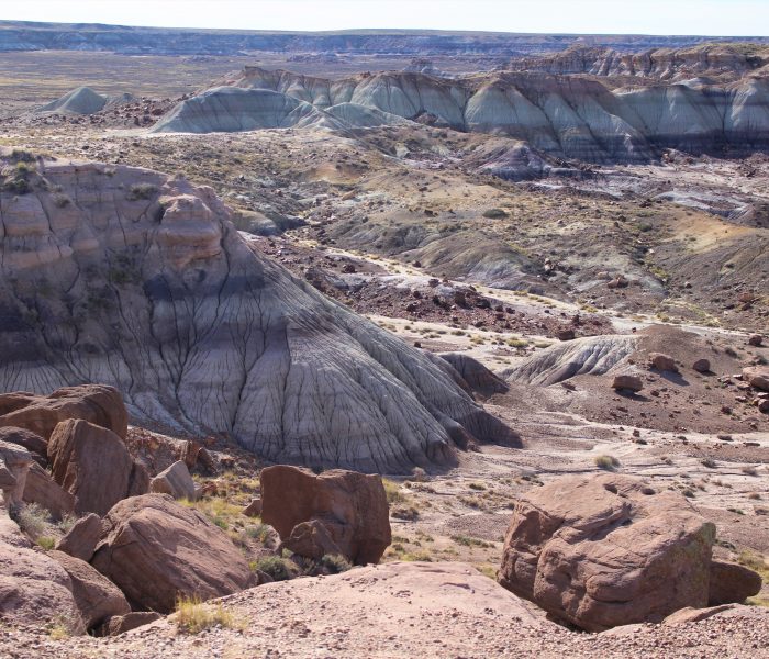 The Ultimate Guide To Petrified Forest National Park