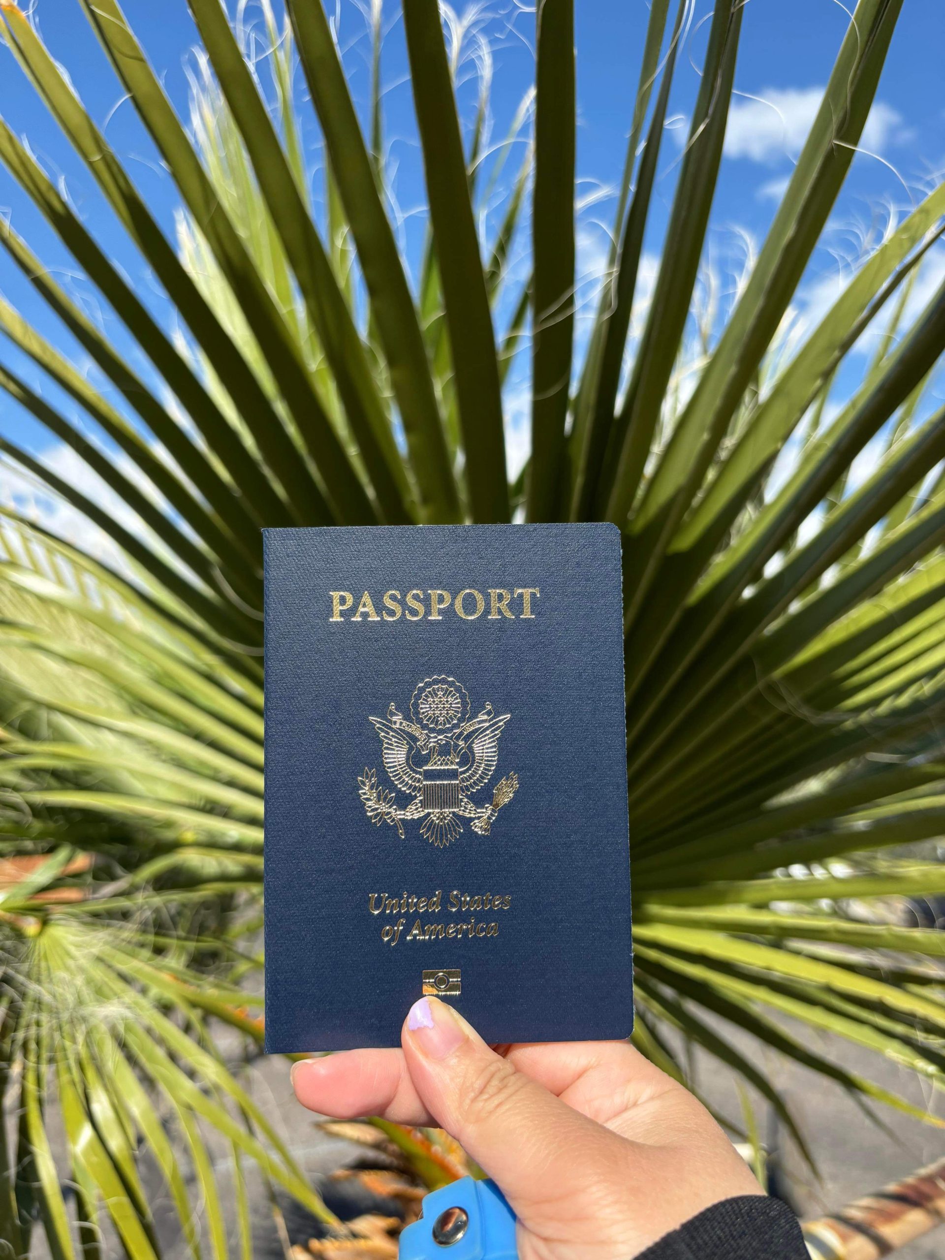 How to Get a Passport in One Day