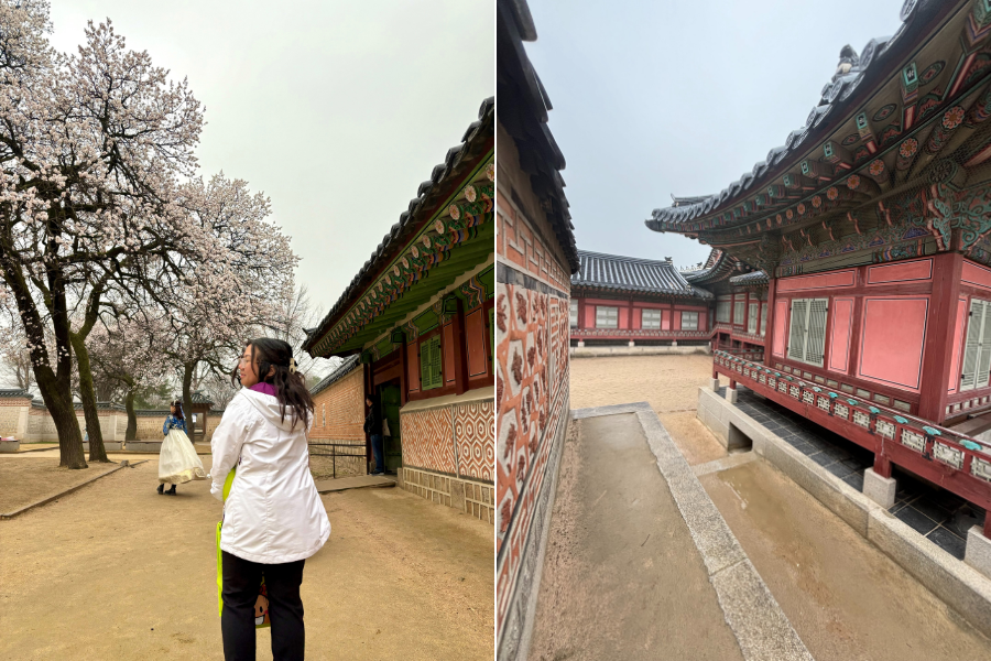 Gyeongbokgung Palace village in Seoul